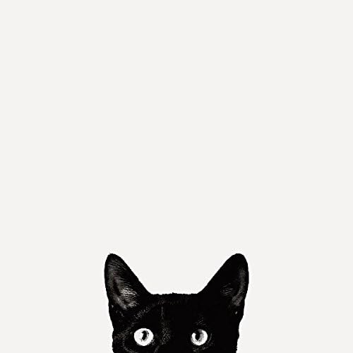 Znatiželja Jon Bertelli Black Cat likovni plakat za ispis, ukupna veličina: 18x20, veličina slike: 15x15