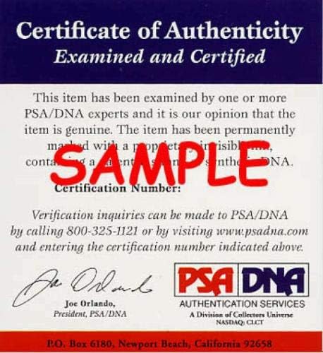 Andy Van Slyke PSA DNK Cert potpisan 8x10 Photo Pirates Autogram - Autografirani MLB fotografije
