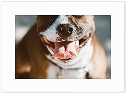 Dithinker Bulldog Pet Animal Friefly Slika fotografija okvir okvira slika Art slikanje radna površina 5x7 inč