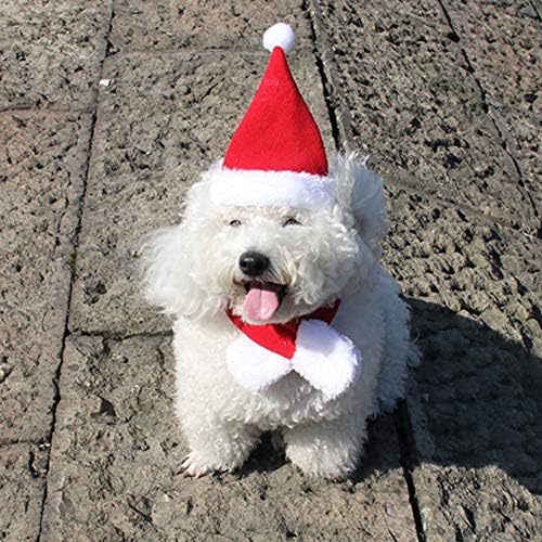 2 kom. domaći božićni Šeširi Djeda Mraza pas mačka plišani Božićni crveni šešir Šeširi Sretan Božić Podesivi pokrivalo za glavu štene