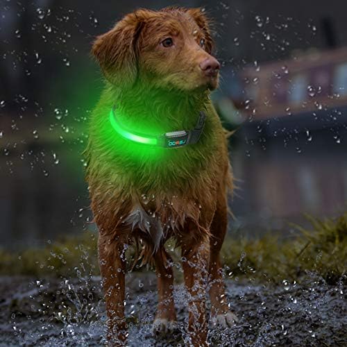 Njega meda Svijetle LED pseće ovratnik, podesivi izdržljivi vidljivi užareni kućni ogrlica, usb ogrlica za kućne ljubimce s D-prstenom