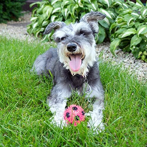 Igračka za grickanje pasa s škripavom i laganom nogometnom loptom veličine 2,5 inča-mala, promiče zdravlje zuba i desni vašeg ljubimca,