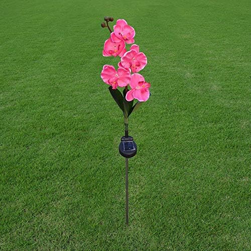 Sdgh 5 glava na otvorenom LED lagana svjetiljka cvjetna svjetiljka za dvorište vrtne staze put travnjak pejzažni dekor