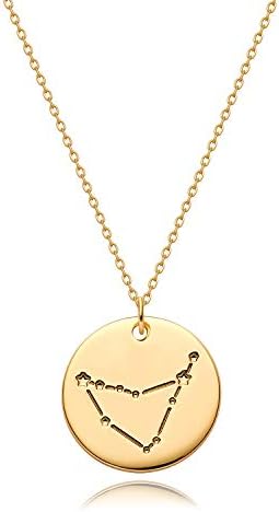 14-karatni pozlaćeni nježni lanac personalizirani 12 zviježđa horoskopski znak Astrologija minimalistički nakit rođendanski poklon