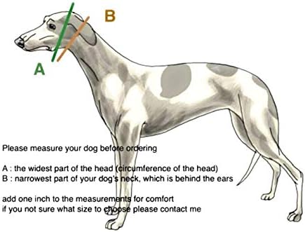 Ovratnik Sgang Martingale i Paracord Leash Set Greyhound Saluki Whippet Galgo Dog Collar 2 Širok