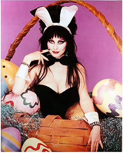 Cassandra Peterson je Elvira odjevena kao Uskršnji zeko 8 x 10 inča fotografije