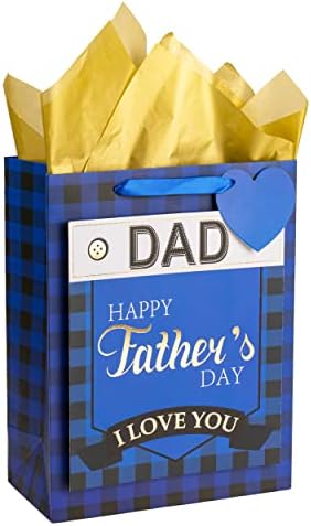 Poklon vrećica za Dan očeva, 13-inčna plava karirana poklon vrećica s papirnatim papirom, poklon oznakom i karticom-dizajn s natpisom