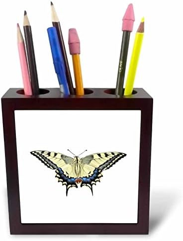 3; zapanjujuća vektorska slika žutog golubljeg repa starog svijeta urezana u držače za olovke s pločicama.