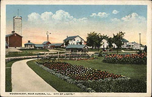 Mooseheart, City of Lights Aurora, Illinois IL Original Antique Razglednica 1919
