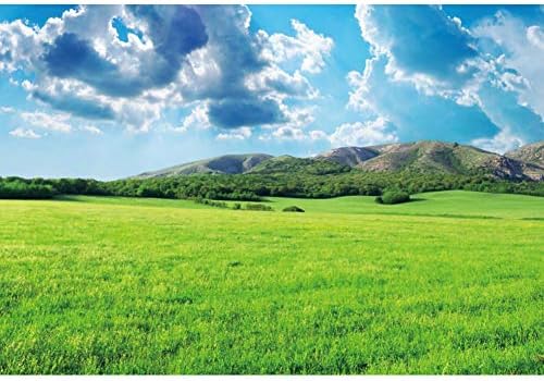 10.8.8 pozadina za fotografiranje na zelenoj livadi prirodni krajolik proljetna zelena trava, planine, plavo nebo, bijeli oblaci, poljoprivredno
