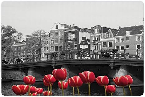 Crna i bijela prostirka za hranu i vodu, jednobojna fotografija amsterdamskog kanala s crvenim tulipanima i kućicama, pravokutna neklizajuća